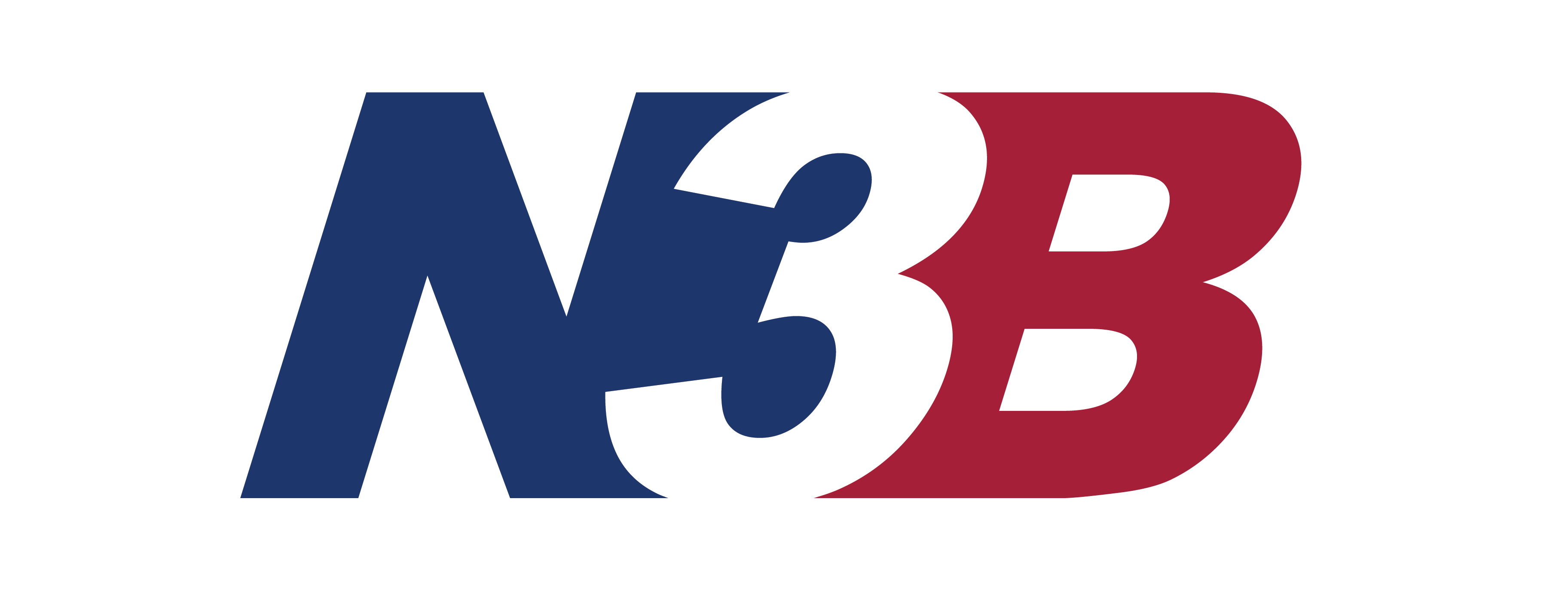 N3B logo